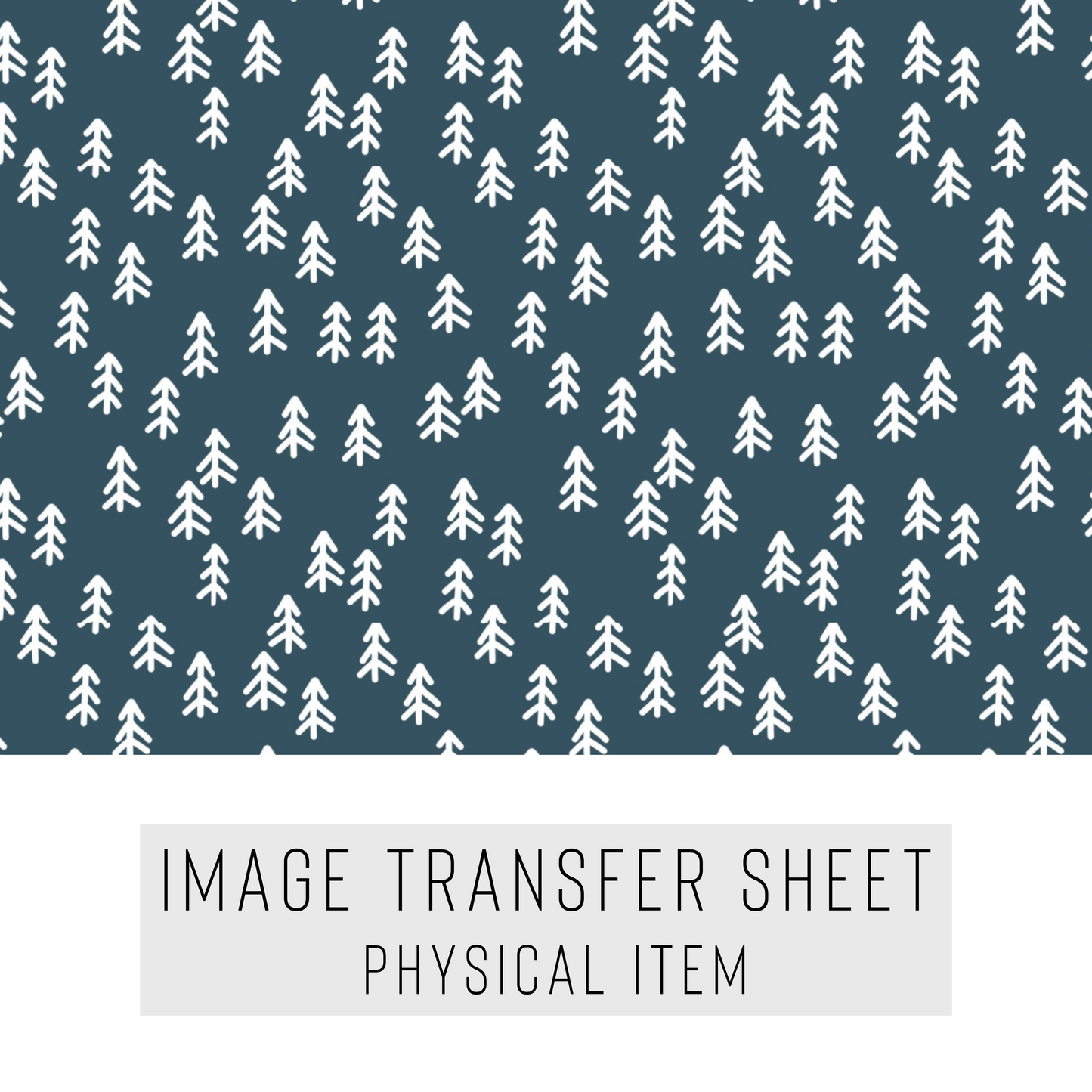 Transfer paper 244