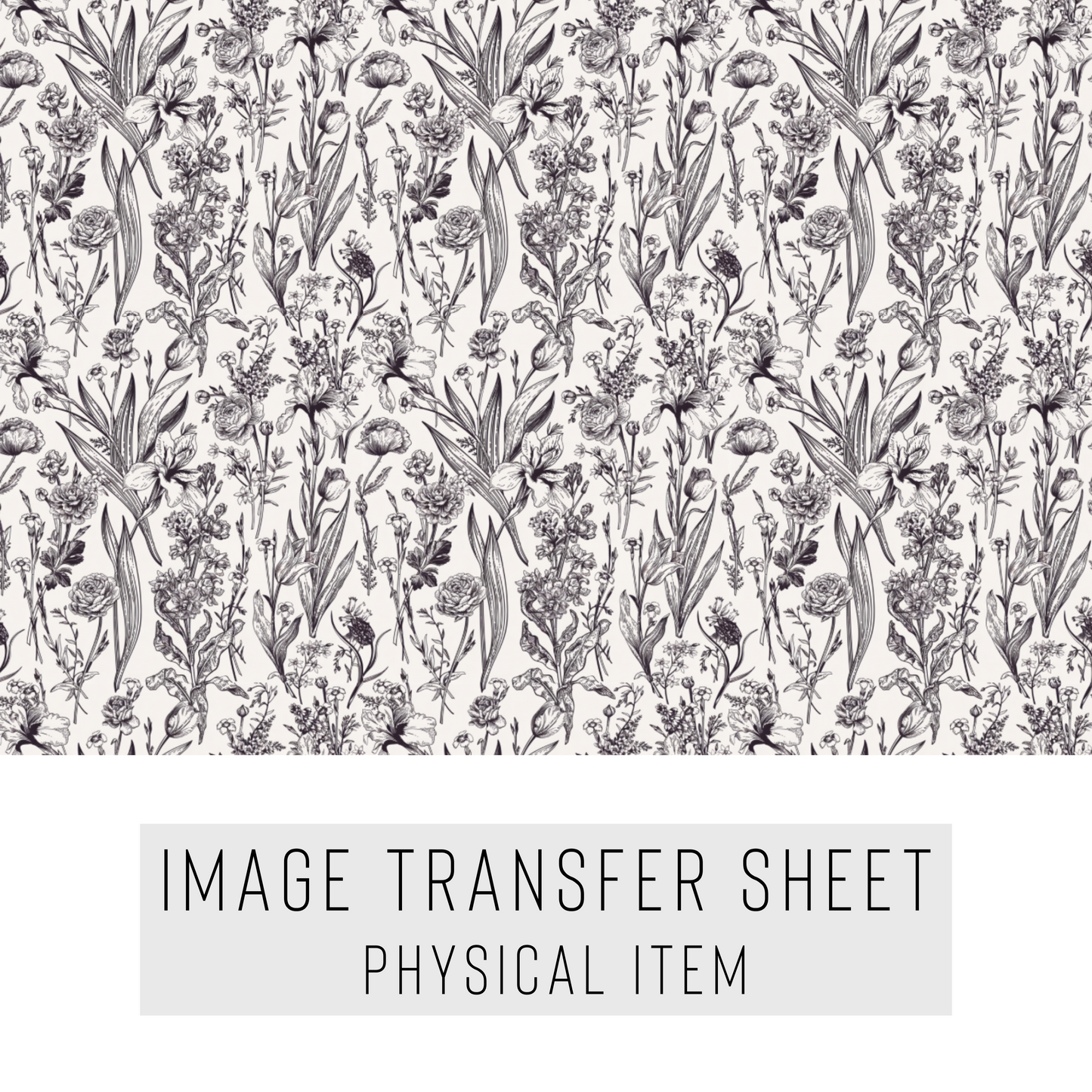 Transfer paper 429