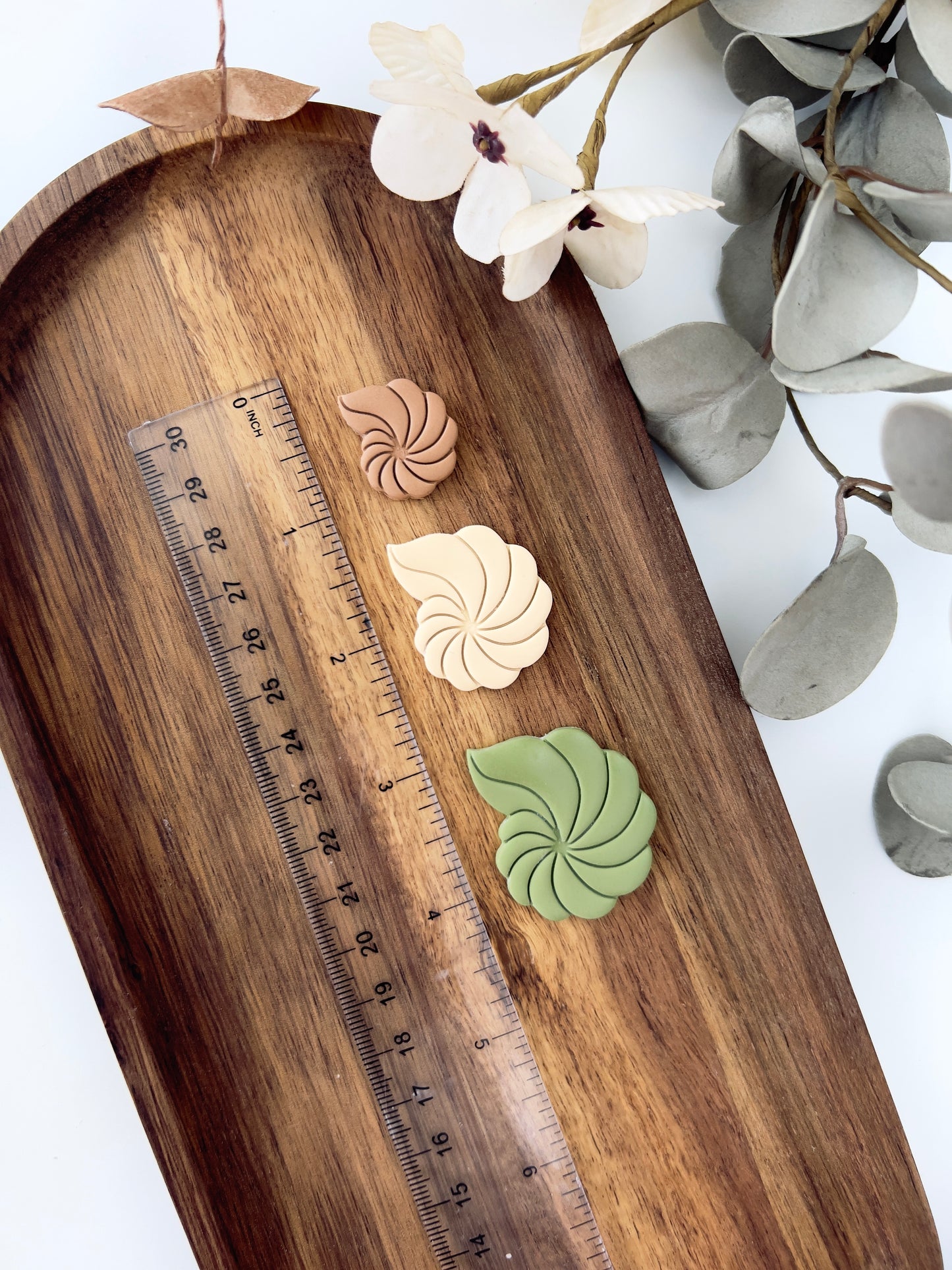 Seashell embossed clay cutter G17