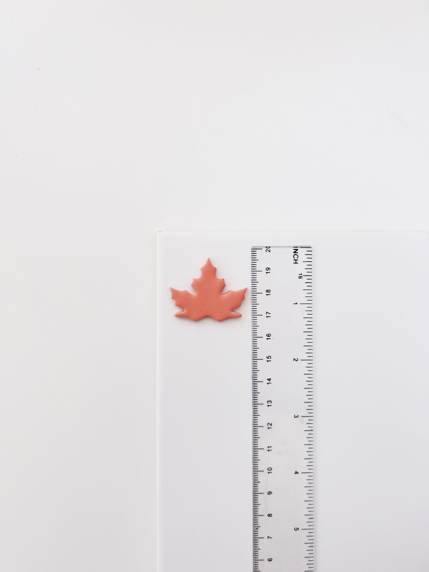 Haloween / Autumn clay cutter ZB14