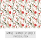 Transfer paper 351