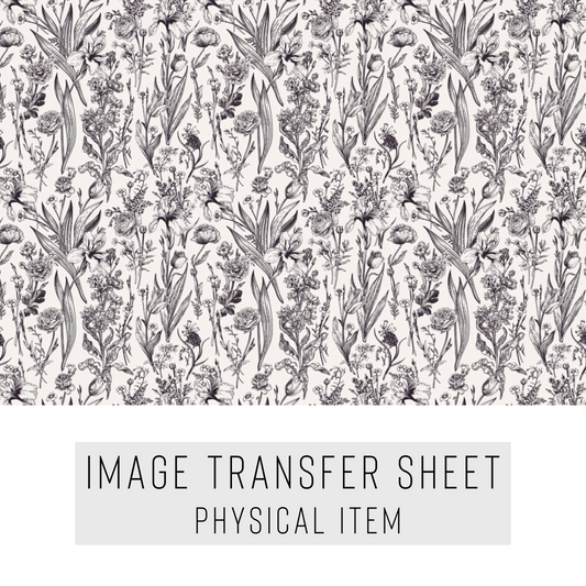 Transfer paper 429