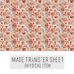 Transfer paper 449