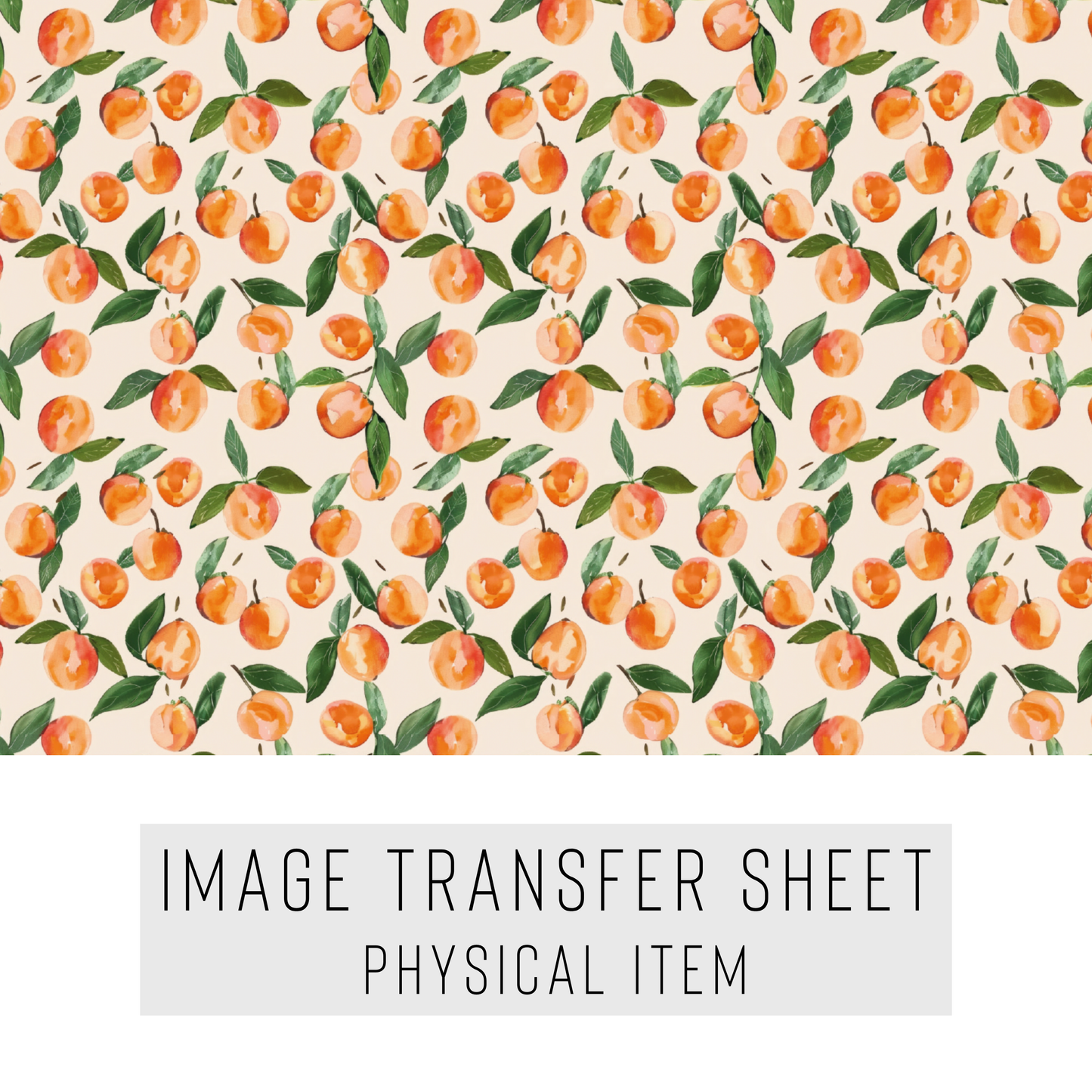 Transfer paper 113