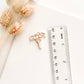 Clay cutter SET ZN2